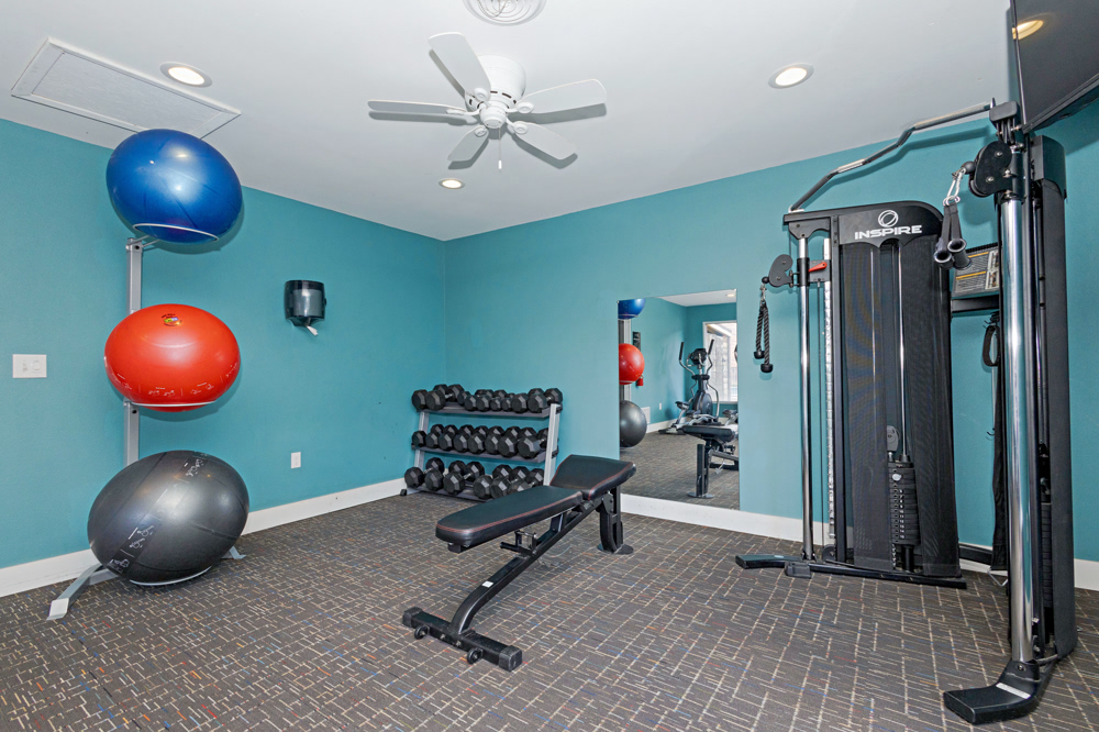 The Avalon community